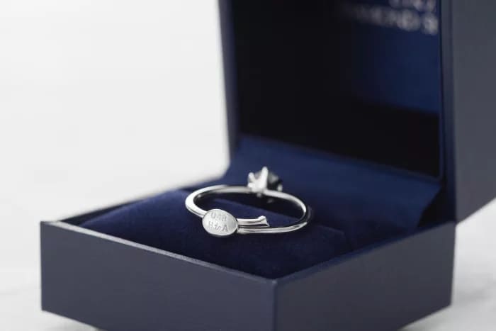 ダイヤモンドシライシ